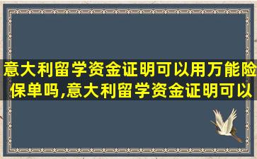 意大利留学资金证明可以用万能险保单吗,意大利留学资金证明可以用万能险保单吗安全吗