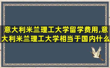 意大利米兰理工大学留学费用,意大利米兰理工大学相当于国内什么大学