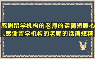 感谢留学机构的老师的话简短暖心,感谢留学机构的老师的话简短精辟