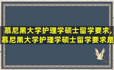 慕尼黑大学护理学硕士留学要求,慕尼黑大学护理学硕士留学要求是什么