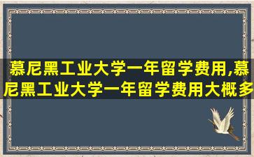 慕尼黑工业大学一年留学费用,慕尼黑工业大学一年留学费用大概多少