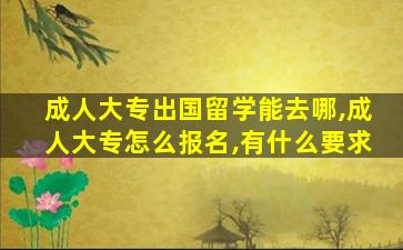 成人大专出国留学能去哪,成人大专怎么报名,有什么要求