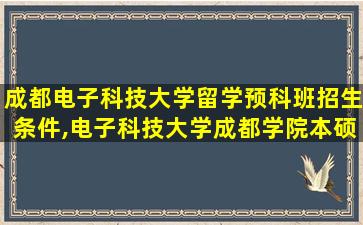 成都电子科技大学留学预科班招生条件,电子科技大学成都学院本硕连读国际班学费