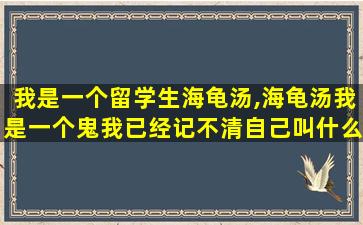 我是一个留学生海龟汤,海龟汤我是一个鬼我已经记不清自己叫什么了