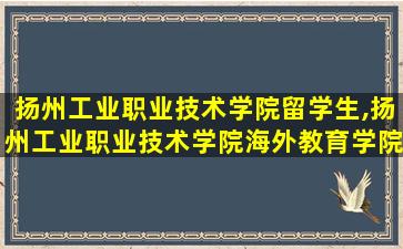 扬州工业职业技术学院留学生,扬州工业职业技术学院海外教育学院