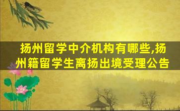 扬州留学中介机构有哪些,扬州籍留学生离扬出境受理公告