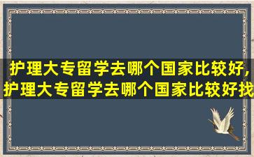 护理大专留学去哪个国家比较好,护理大专留学去哪个国家比较好找工作