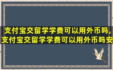 支付宝交留学学费可以用外币吗,支付宝交留学学费可以用外币吗安全吗