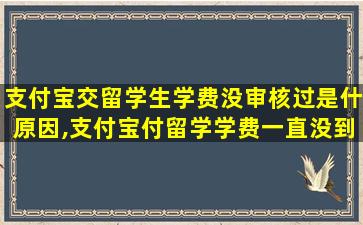 支付宝交留学生学费没审核过是什原因,支付宝付留学学费一直没到学校