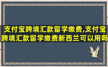 支付宝跨境汇款留学缴费,支付宝跨境汇款留学缴费新西兰可以用吗