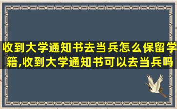 收到大学通知书去当兵怎么保留学籍,收到大学通知书可以去当兵吗