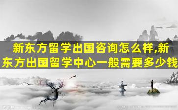 新东方留学出国咨询怎么样,新东方出国留学中心一般需要多少钱