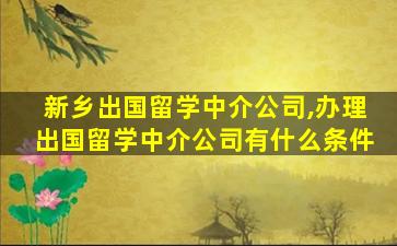 新乡出国留学中介公司,办理出国留学中介公司有什么条件