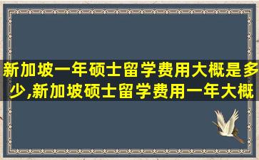 新加坡一年硕士留学费用大概是多少,新加坡硕士留学费用一年大概多少人民币