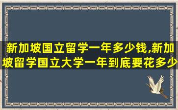 新加坡国立留学一年多少钱,新加坡留学国立大学一年到底要花多少钱