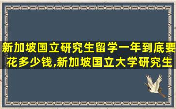 新加坡国立研究生留学一年到底要花多少钱,新加坡国立大学研究生一年所有的费用是多少人民币