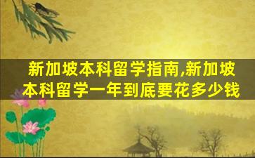 新加坡本科留学指南,新加坡本科留学一年到底要花多少钱