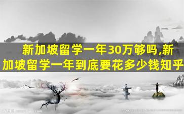 新加坡留学一年30万够吗,新加坡留学一年到底要花多少钱知乎