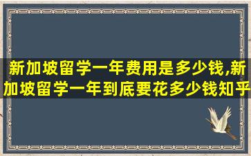 新加坡留学一年费用是多少钱,新加坡留学一年到底要花多少钱知乎