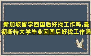 新加坡留学回国后好找工作吗,曼彻斯特大学毕业回国后好找工作吗