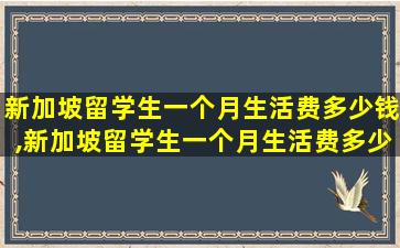 新加坡留学生一个月生活费多少钱,新加坡留学生一个月生活费多少钱正常