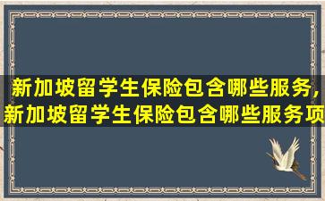 新加坡留学生保险包含哪些服务,新加坡留学生保险包含哪些服务项目