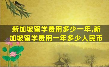 新加坡留学费用多少一年,新加坡留学费用一年多少人民币