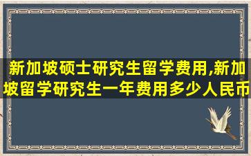 新加坡硕士研究生留学费用,新加坡留学研究生一年费用多少人民币