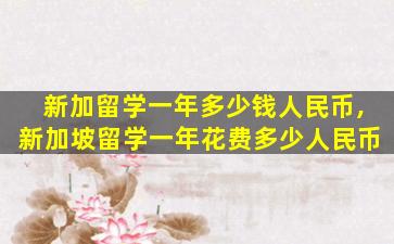 新加留学一年多少钱人民币,新加坡留学一年花费多少人民币