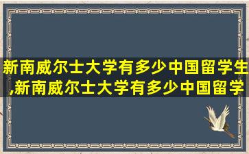 新南威尔士大学有多少中国留学生,新南威尔士大学有多少中国留学生毕业