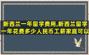 新西兰一年留学费用,新西兰留学一年花费多少人民币工薪家庭可以承受吗