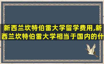 新西兰坎特伯雷大学留学费用,新西兰坎特伯雷大学相当于国内的什么大学