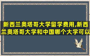 新西兰奥塔哥大学留学费用,新西兰奥塔哥大学和中国哪个大学可以相比