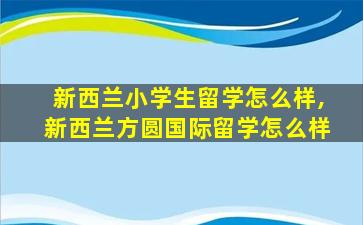 新西兰小学生留学怎么样,新西兰方圆国际留学怎么样