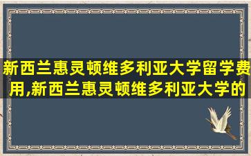 新西兰惠灵顿维多利亚大学留学费用,新西兰惠灵顿维多利亚大学的真实生活