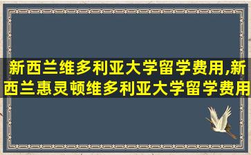 新西兰维多利亚大学留学费用,新西兰惠灵顿维多利亚大学留学费用