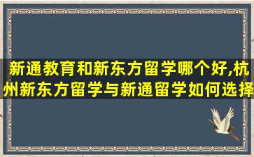 新通教育和新东方留学哪个好,杭州新东方留学与新通留学如何选择