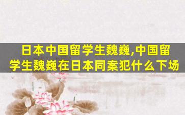 日本中国留学生魏巍,中国留学生魏巍在日本同案犯什么下场