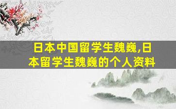 日本中国留学生魏巍,日本留学生魏巍的个人资料