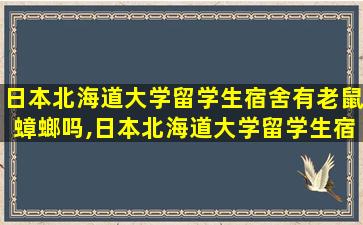 日本北海道大学留学生宿舍有老鼠蟑螂吗,日本北海道大学留学生宿舍有老鼠蟑螂吗