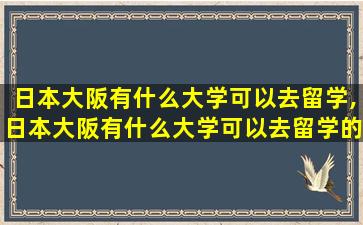 日本大阪有什么大学可以去留学,日本大阪有什么大学可以去留学的