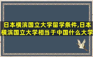 日本横滨国立大学留学条件,日本横滨国立大学相当于中国什么大学