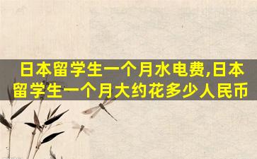 日本留学生一个月水电费,日本留学生一个月大约花多少人民币