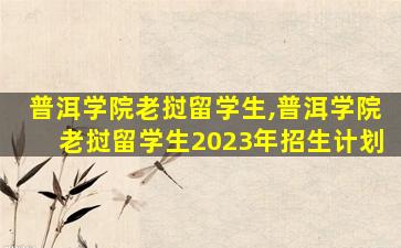 普洱学院老挝留学生,普洱学院老挝留学生2023年招生计划