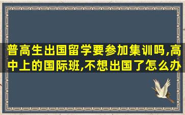 普高生出国留学要参加集训吗,高中上的国际班,不想出国了怎么办