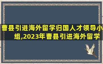 曹县引进海外留学归国人才领导小组,2023年曹县引进海外留学归国人才公告