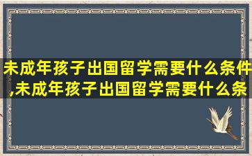 未成年孩子出国留学需要什么条件,未成年孩子出国留学需要什么条件和手续