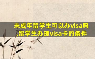 未成年留学生可以办visa吗,留学生办理visa卡的条件