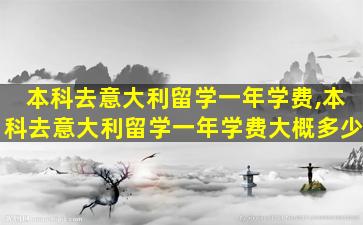 本科去意大利留学一年学费,本科去意大利留学一年学费大概多少