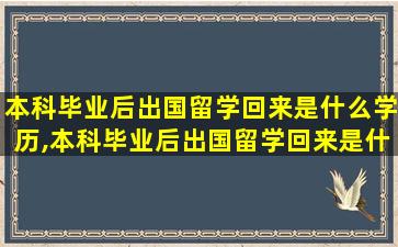 本科毕业后出国留学回来是什么学历,本科毕业后出国留学回来是什么学历类型